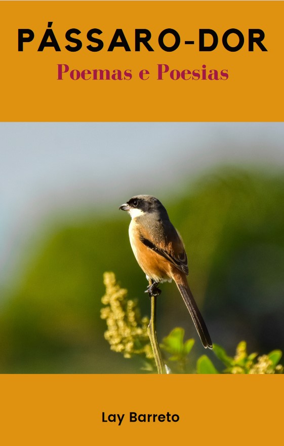 passaro dor<br />
